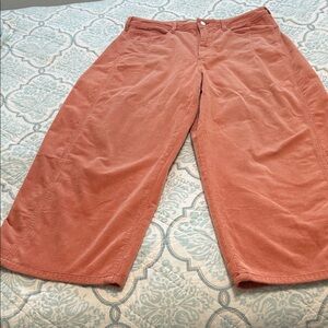 Pilcro Pants From Anthropology